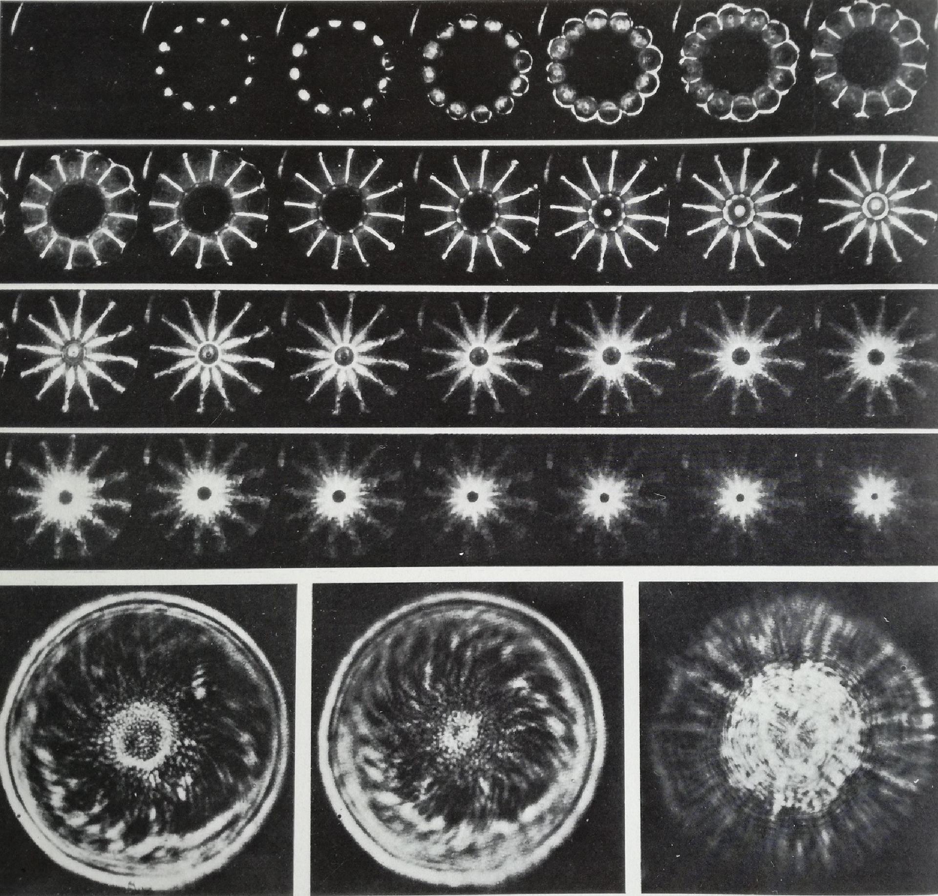 Photographic sequence of the simultaneous 12-point primer of an 18-cm diameter explosive disk, taken at intervals of approximately one millionth of a second - Ass. EURATOM-CNEN sulla fusione, Frascati