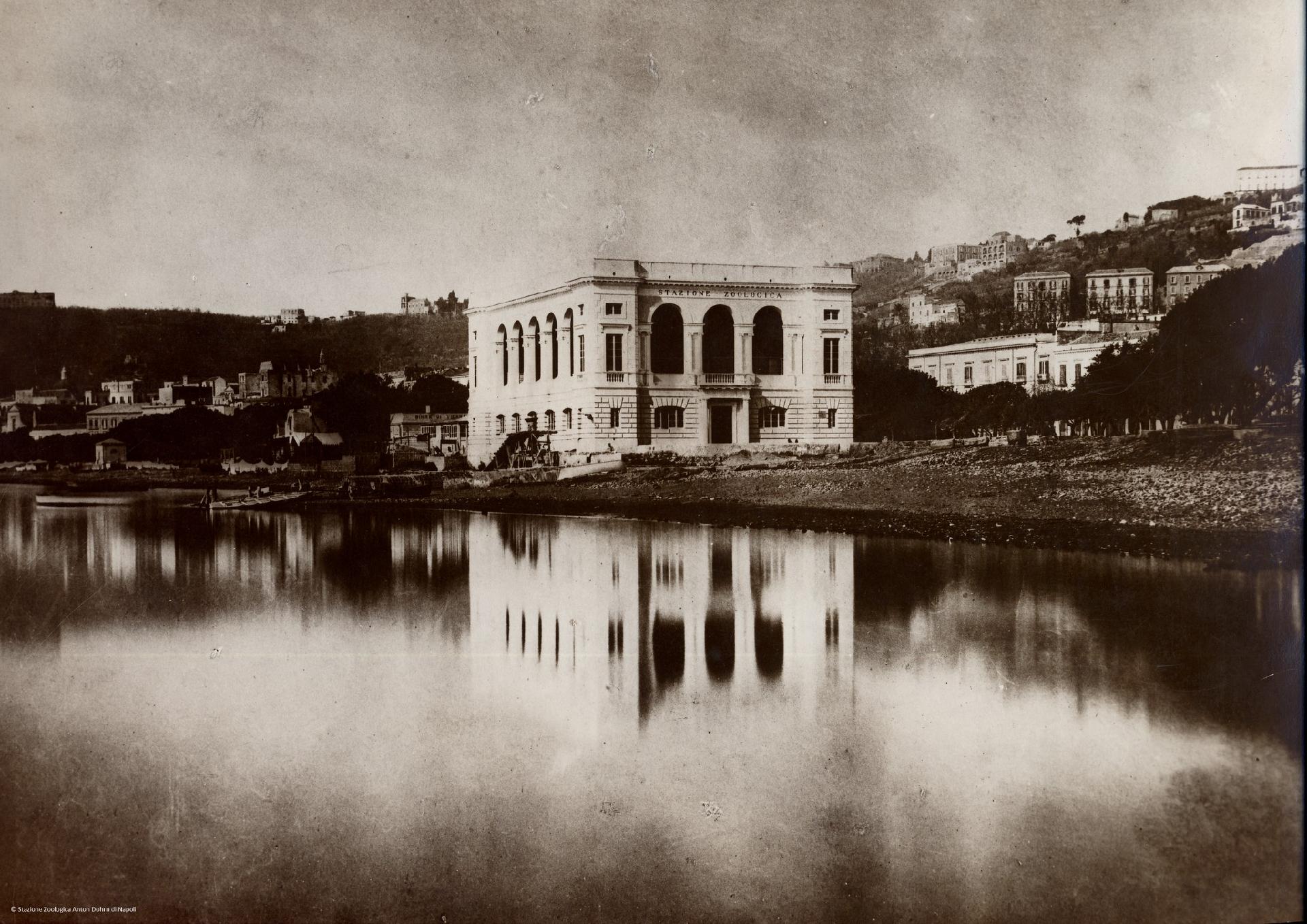 L'edificio della Stazione zoologica di Napoli (1873) - Stazione zoologica Anton Dohrn di Napoli