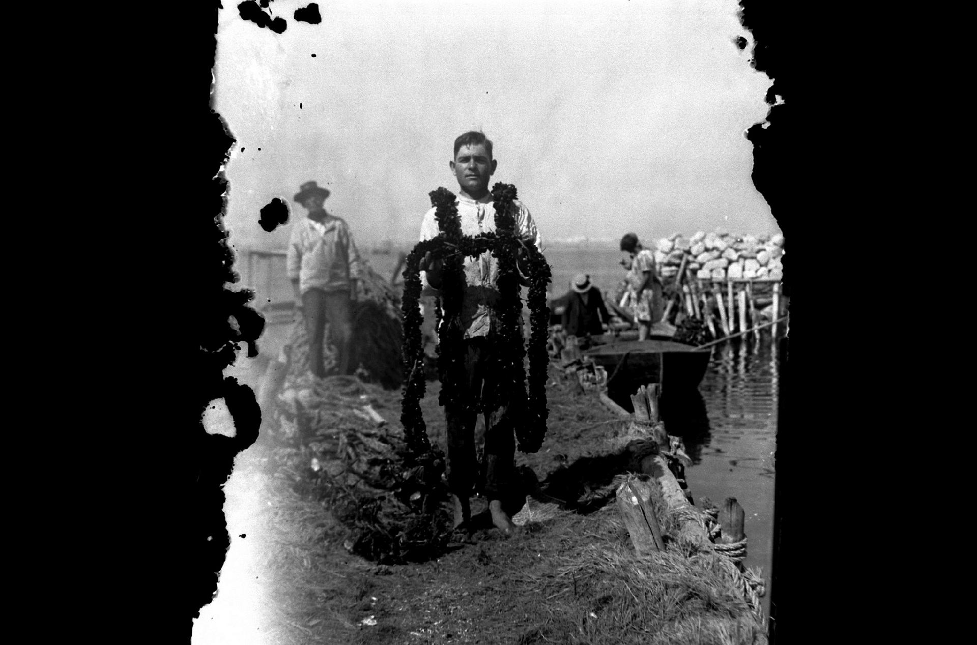 Un mitilicoltore sorregge un pergolaro di mitili - Attilio Cerruti