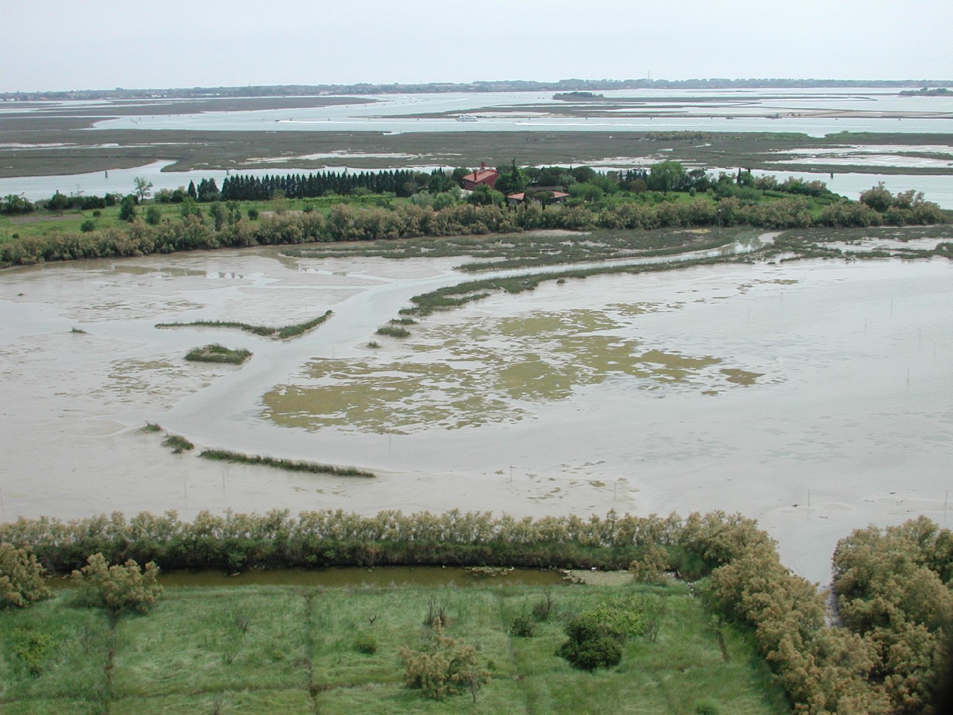 La laguna veneta - Museo di Storia Naturale di Venezia
