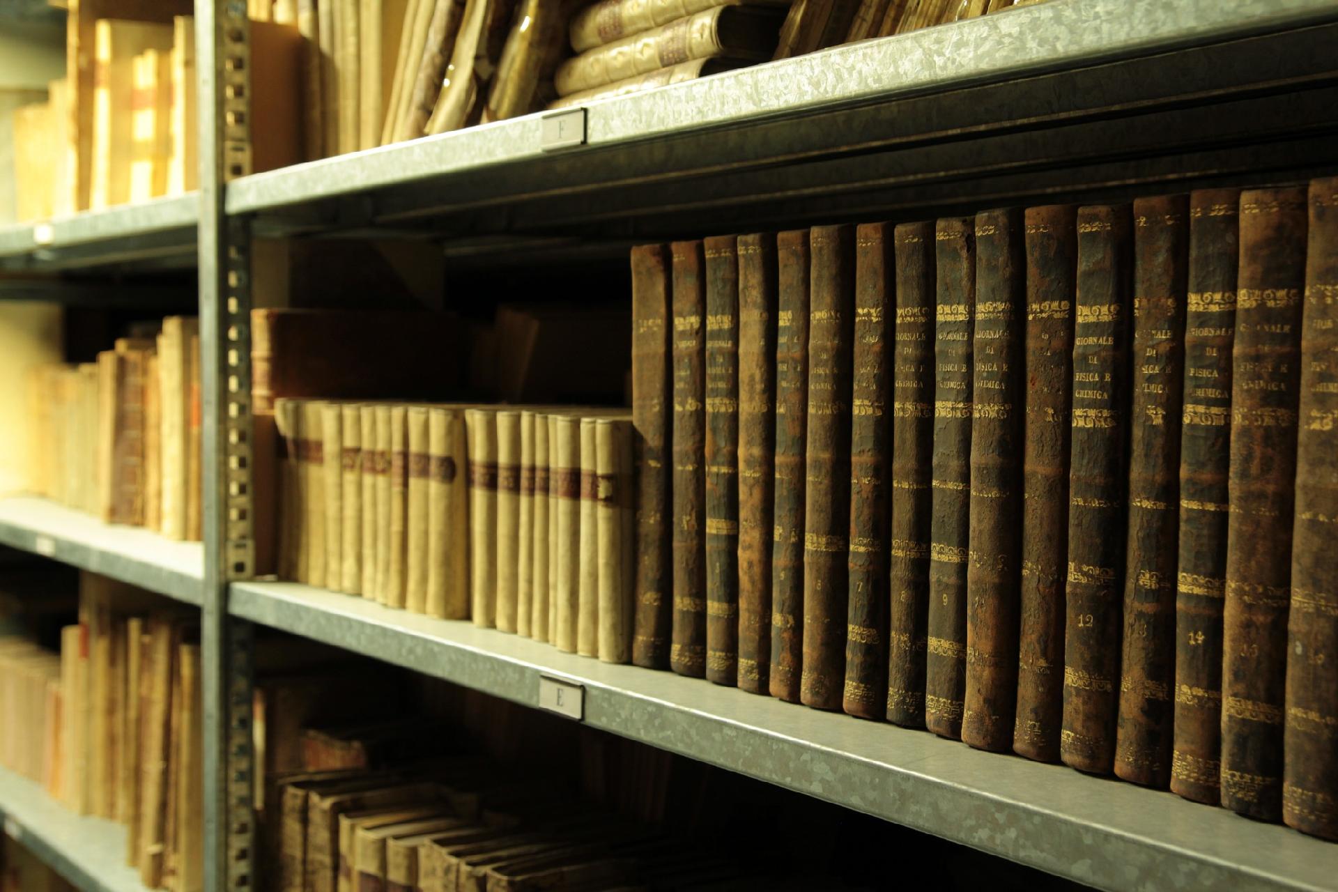 La biblioteca del Museo di storia naturale di Venezia - Museo di Storia Naturale di Venezia