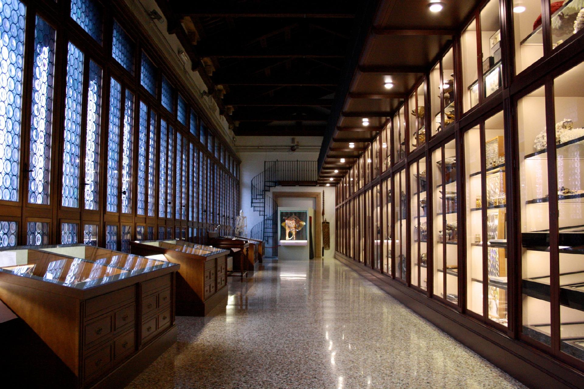 Museo di storia naturale di Venezia - Museo di Storia Naturale di Venezia