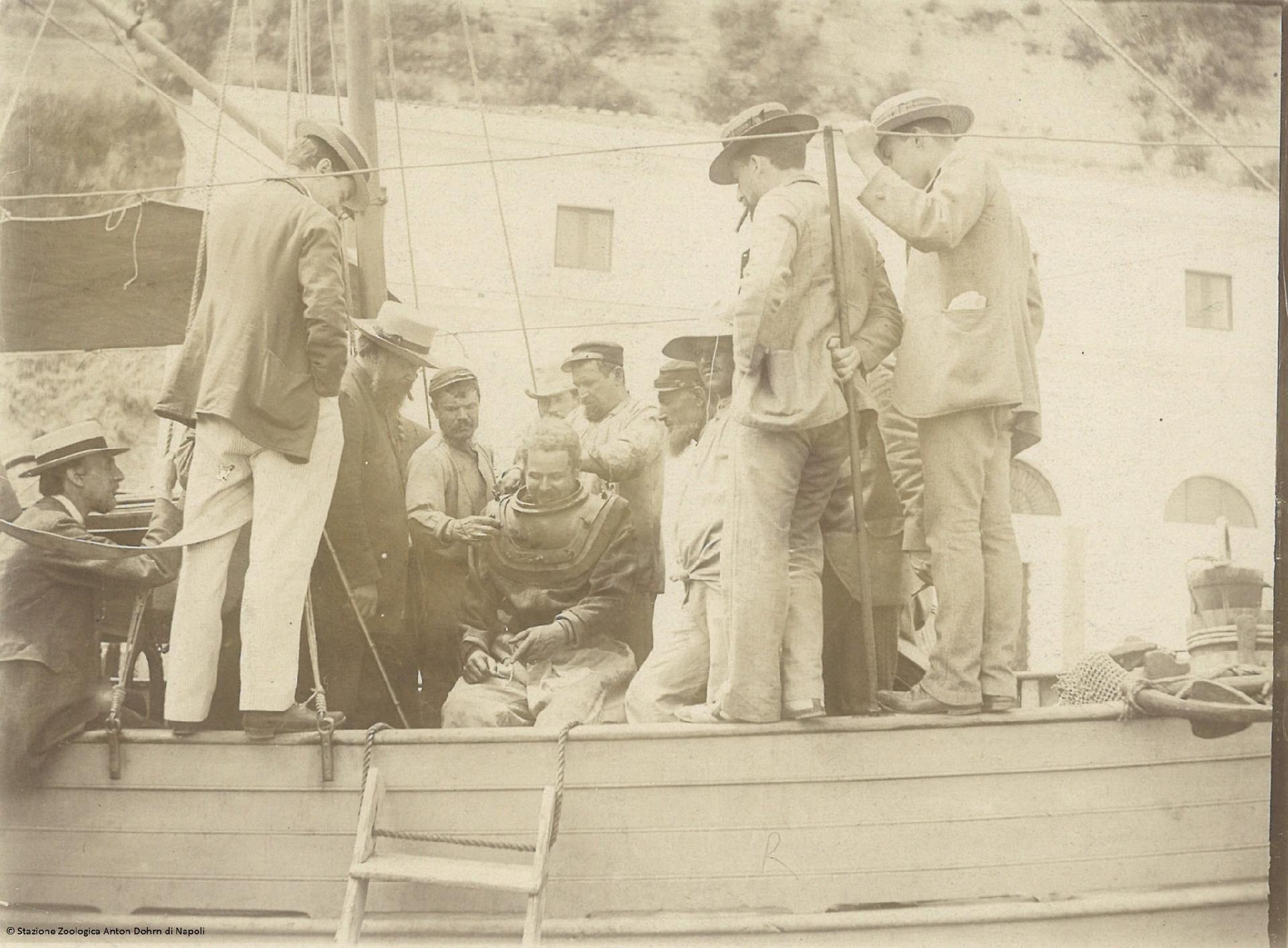 Preparation of the diver for the collection of specimens - Stazione zoologica Anton Dohrn di Napoli