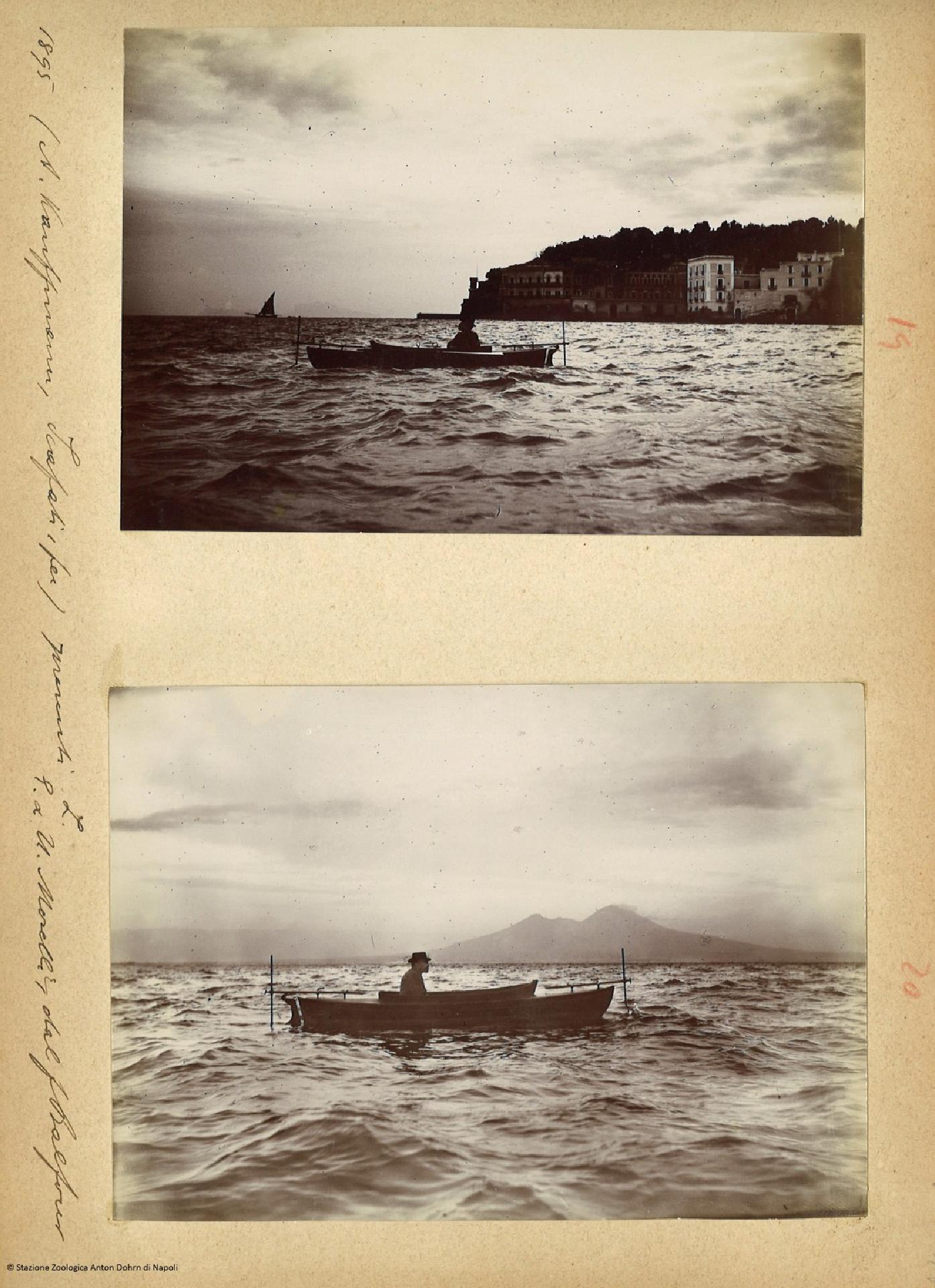 H. Linden and the Autonat - Stazione zoologica Anton Dohrn di Napoli