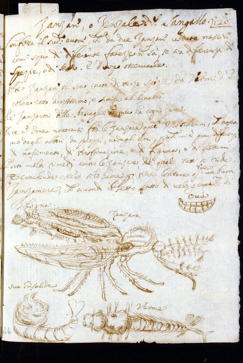  - CC BY-SA Edizione nazionale delle Opere di Antonio Vallisneri
