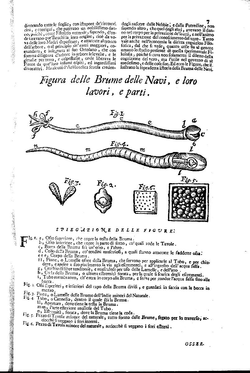  - CC BY-SA Edizione nazionale delle Opere di Antonio Vallisneri